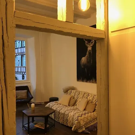Gite Bi Uns Chez Silvana Colmar Exterior photo